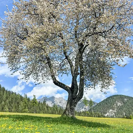 Salzmannhof By Interhome Lejlighed *