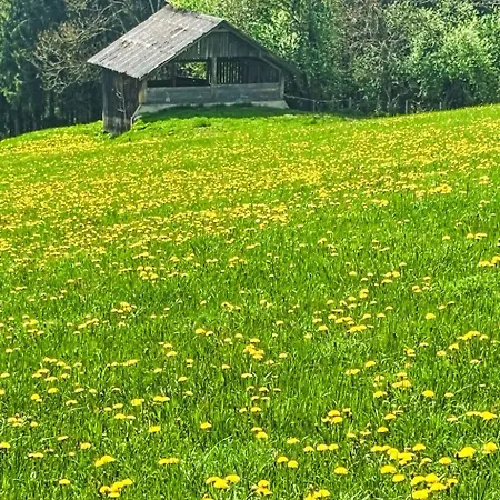 Salzmannhof By Interhome ラムサウ・アム・ダッハシュタイン