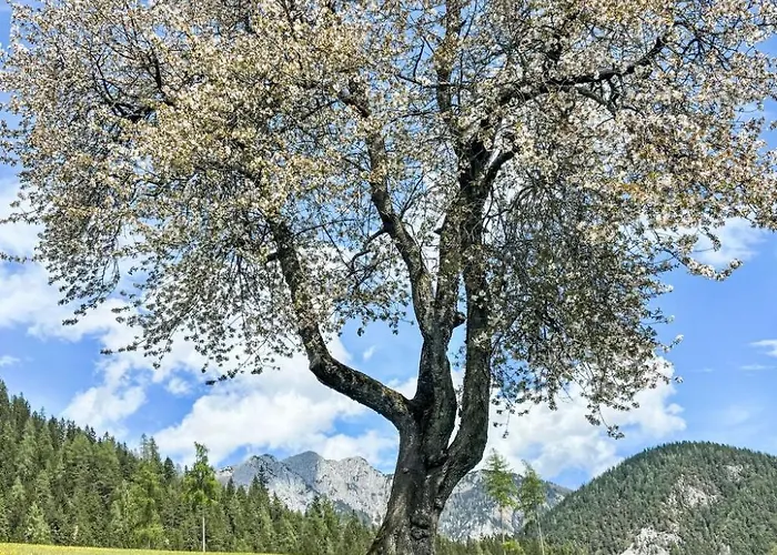 5 By Interhome شقة *