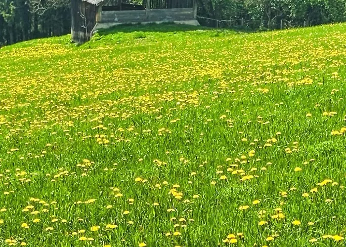 5 By Interhome رامساو أم داتشستين